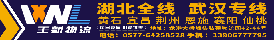 王新